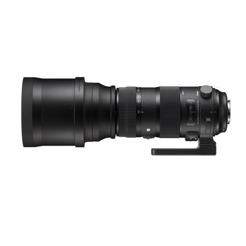 150-600mm F5-6.3 DG OS HSM | Sports (F) | 세기몰